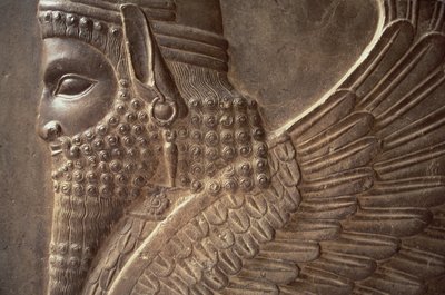 Winged man with a lions body, detail of a relief from the north stairway of the Tripylon, c.470 BC by Achaemenid